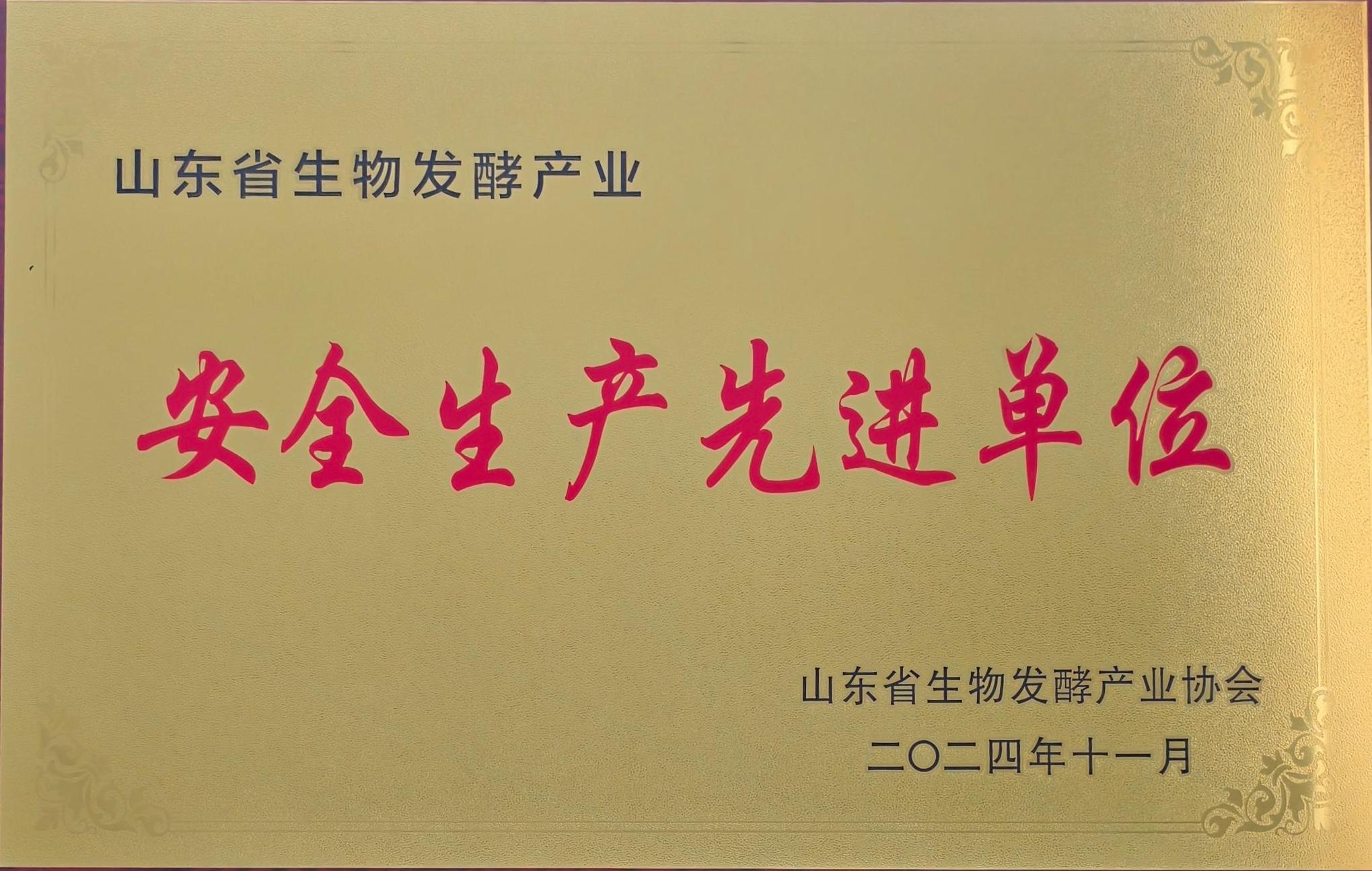 山东省生物发酵产业安全生产先进单位(图1)